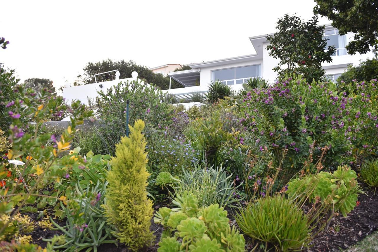 Vilacqua Boutique Guest Villa Plettenberg Bay Exterior photo
